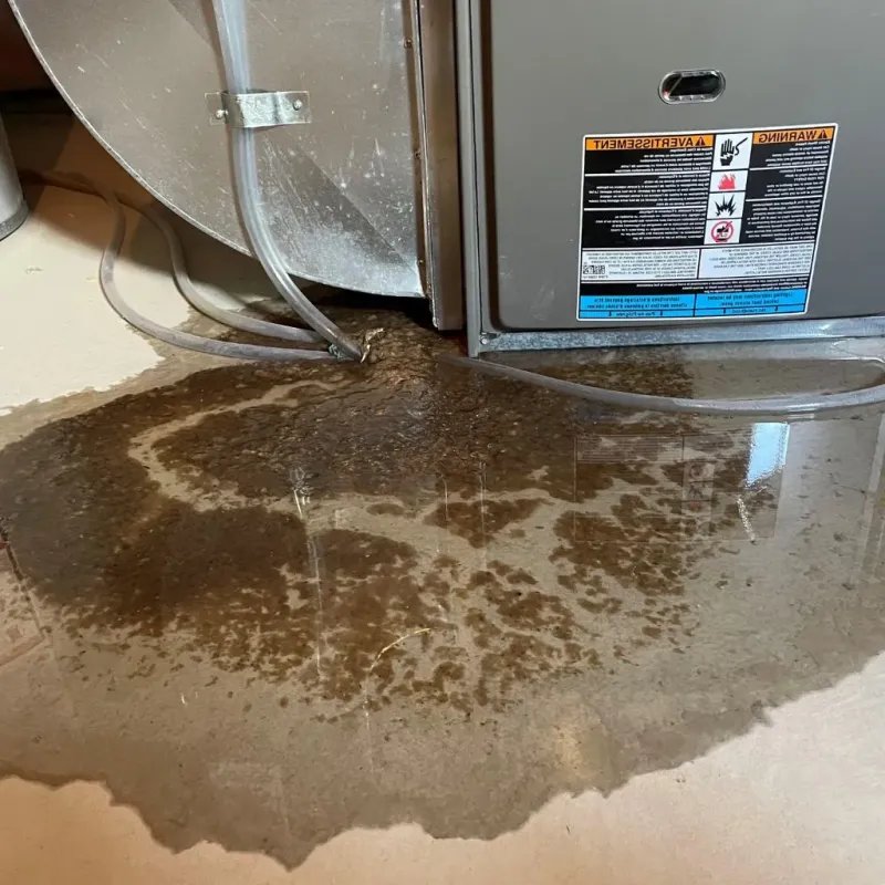 Pipe Burst and Leak Restoration in Pleasant Hills, MD
